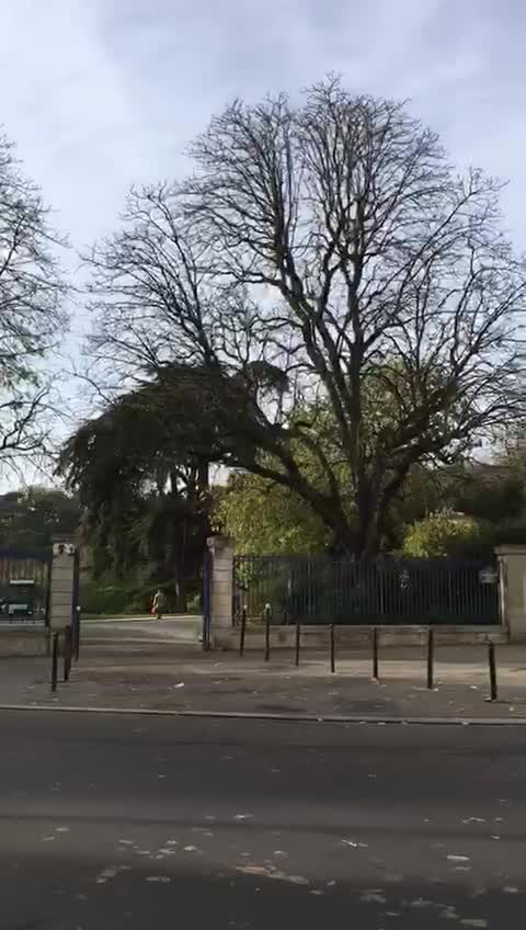 Parc Rives de Seine
