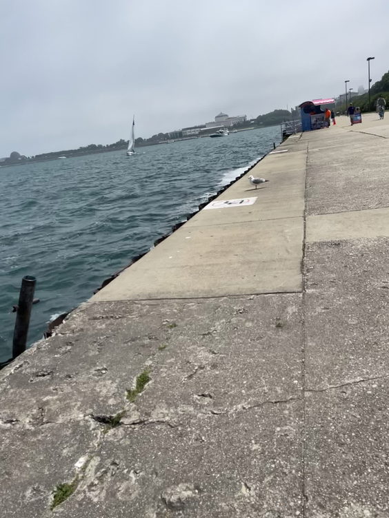 Lake Michigan