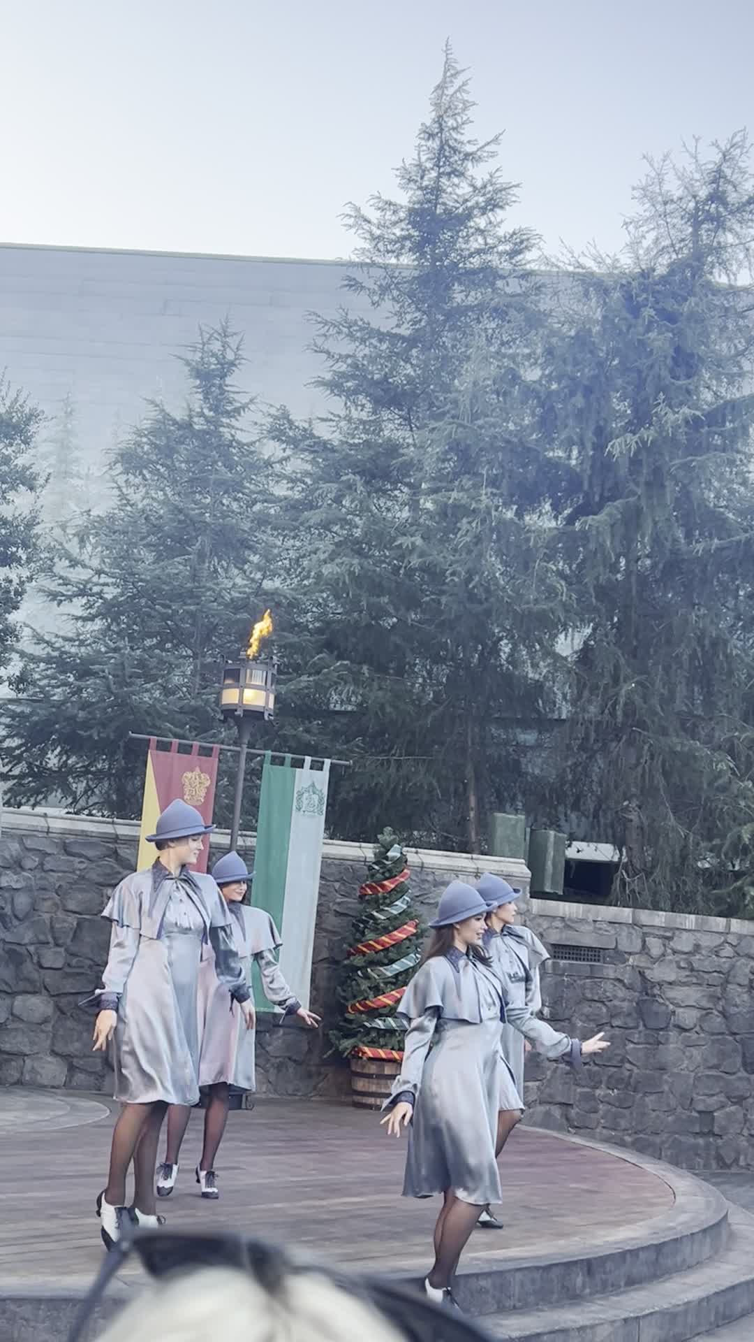 The Wizarding World of Harry Potter