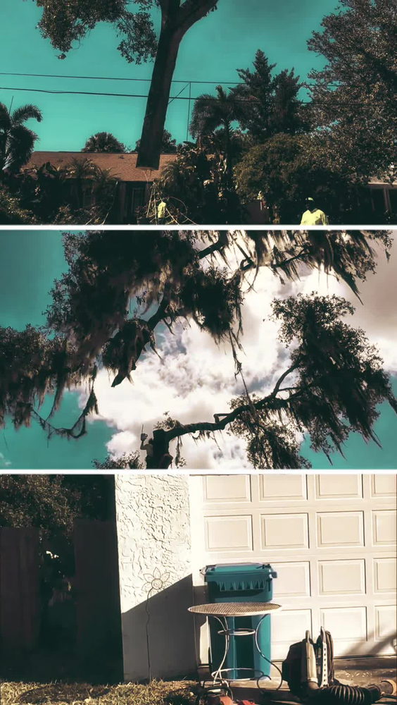 All Your Way Lawn, Tree, and Property Maintenance