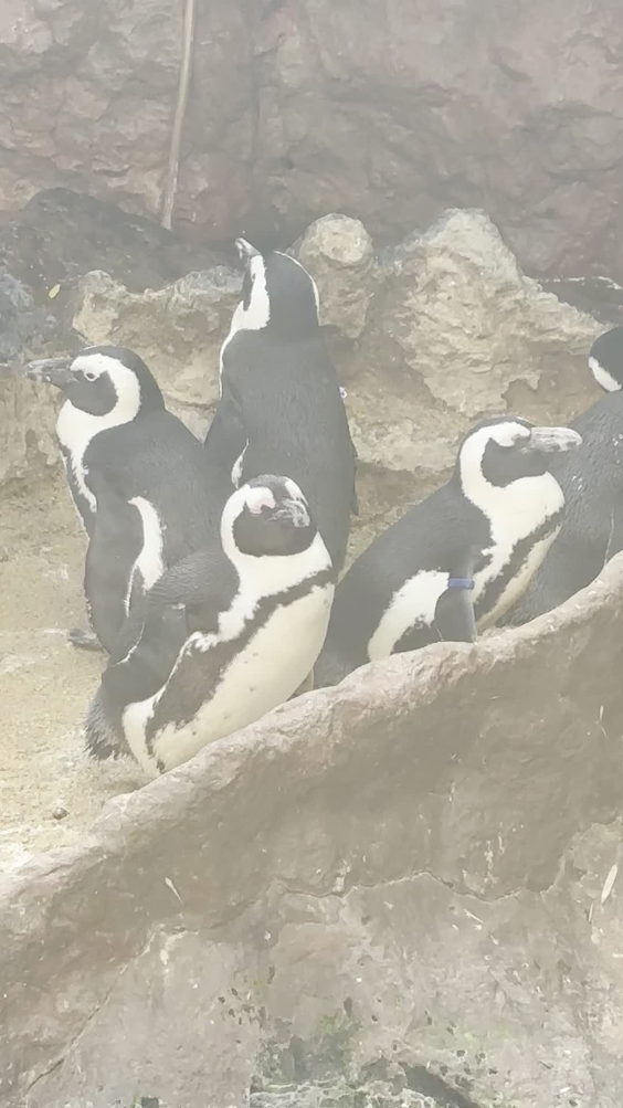 Dallas World Aquarium