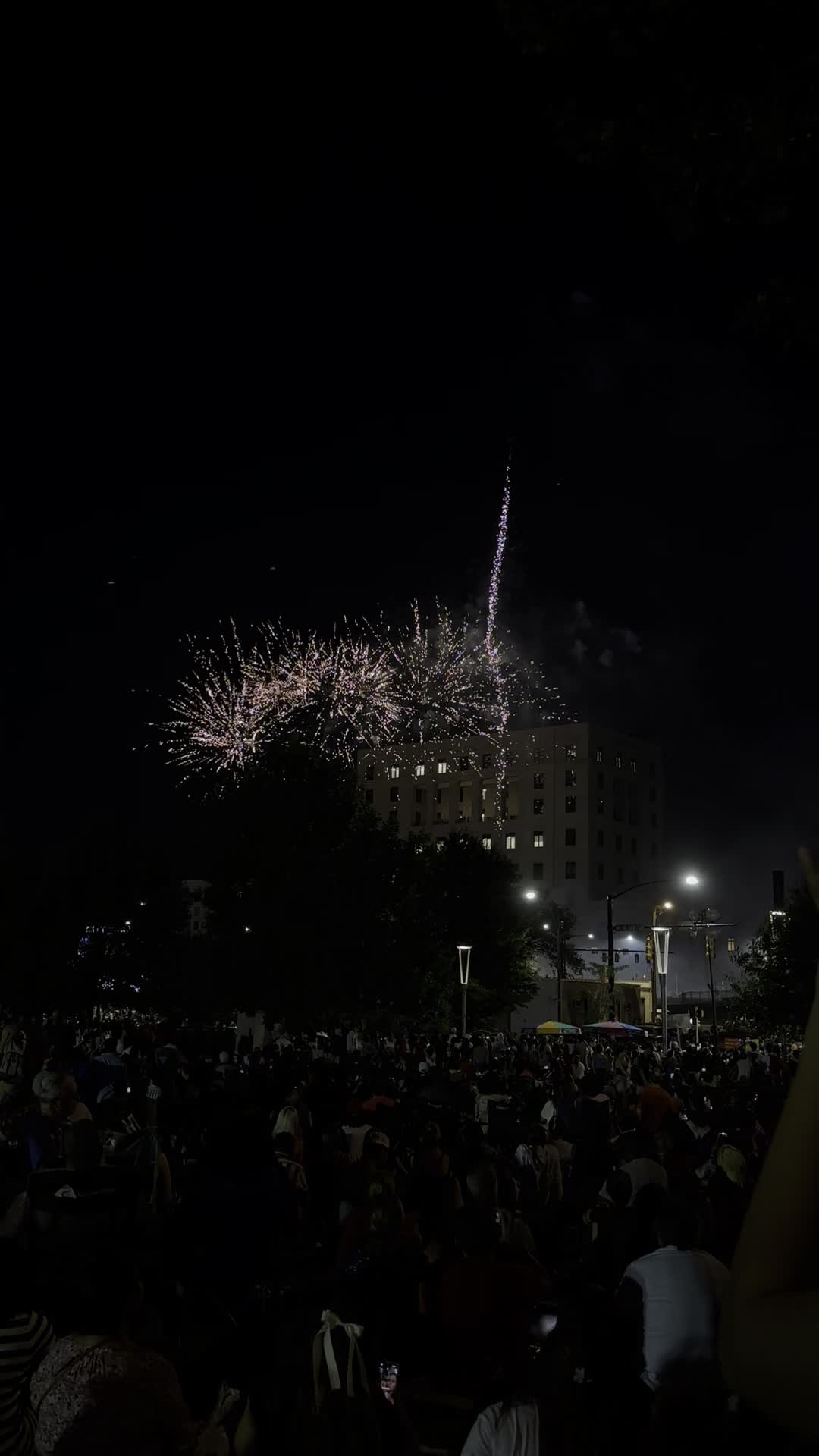 Video review of Romare Bearden Park