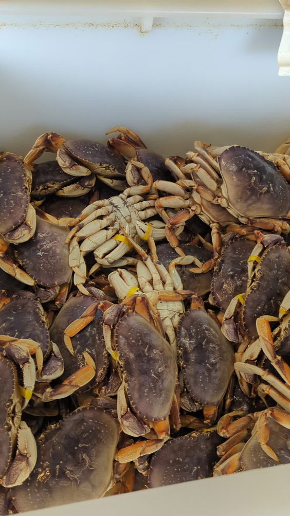 Quality Seafood