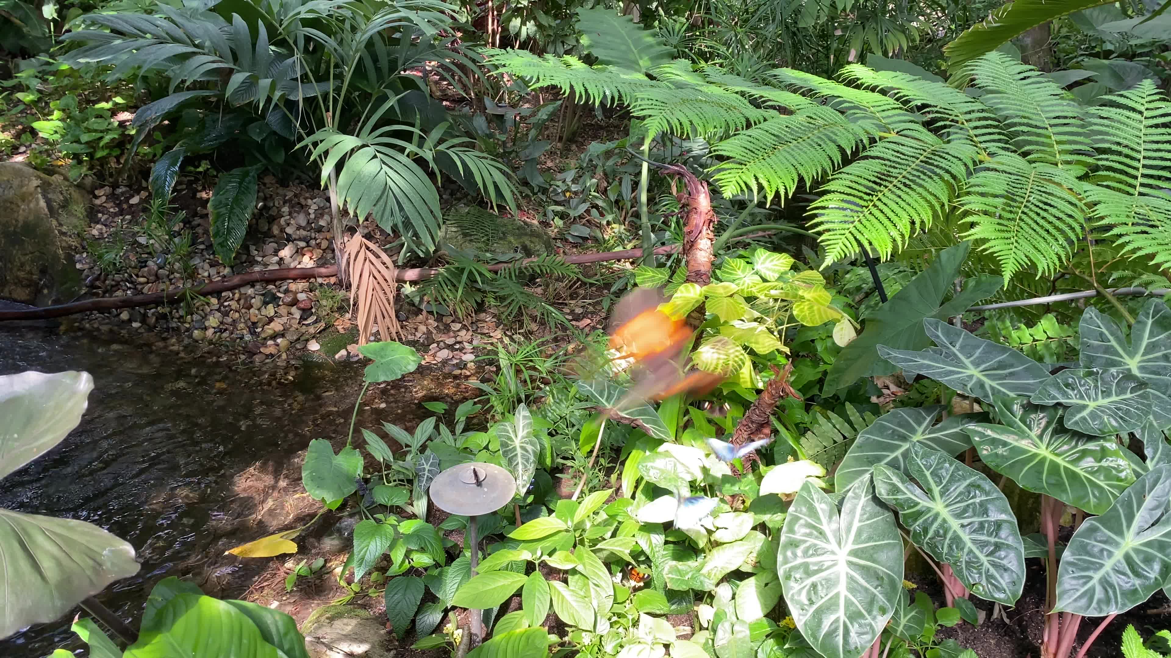 Video review of Frederik Meijer Gardens & Sculpture Park