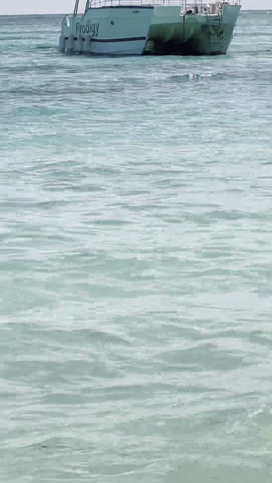 Saona Island