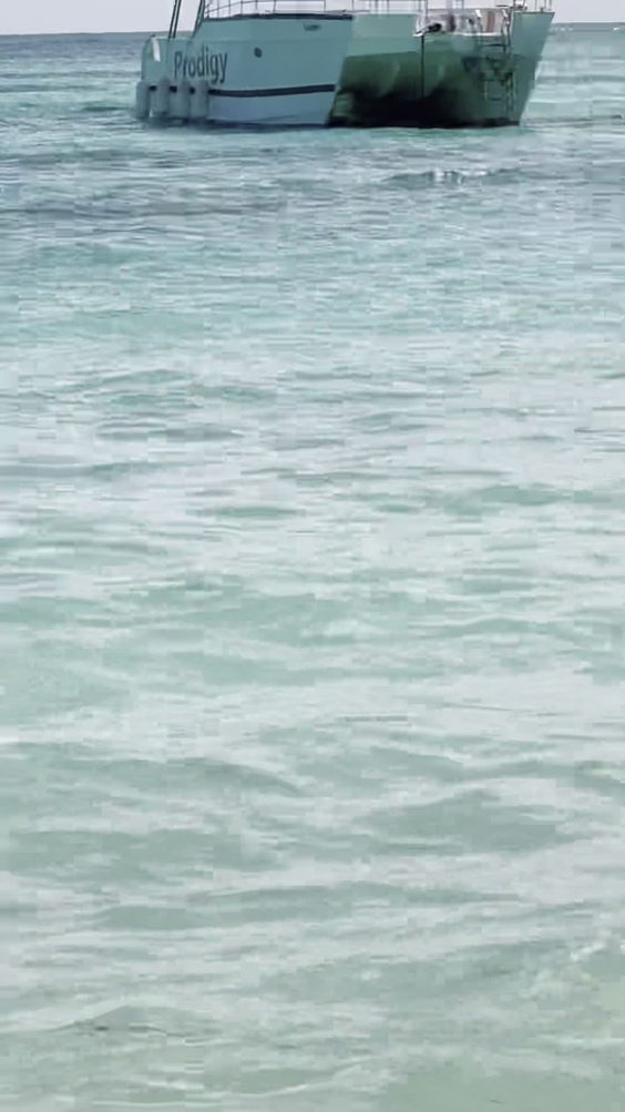 Saona Island