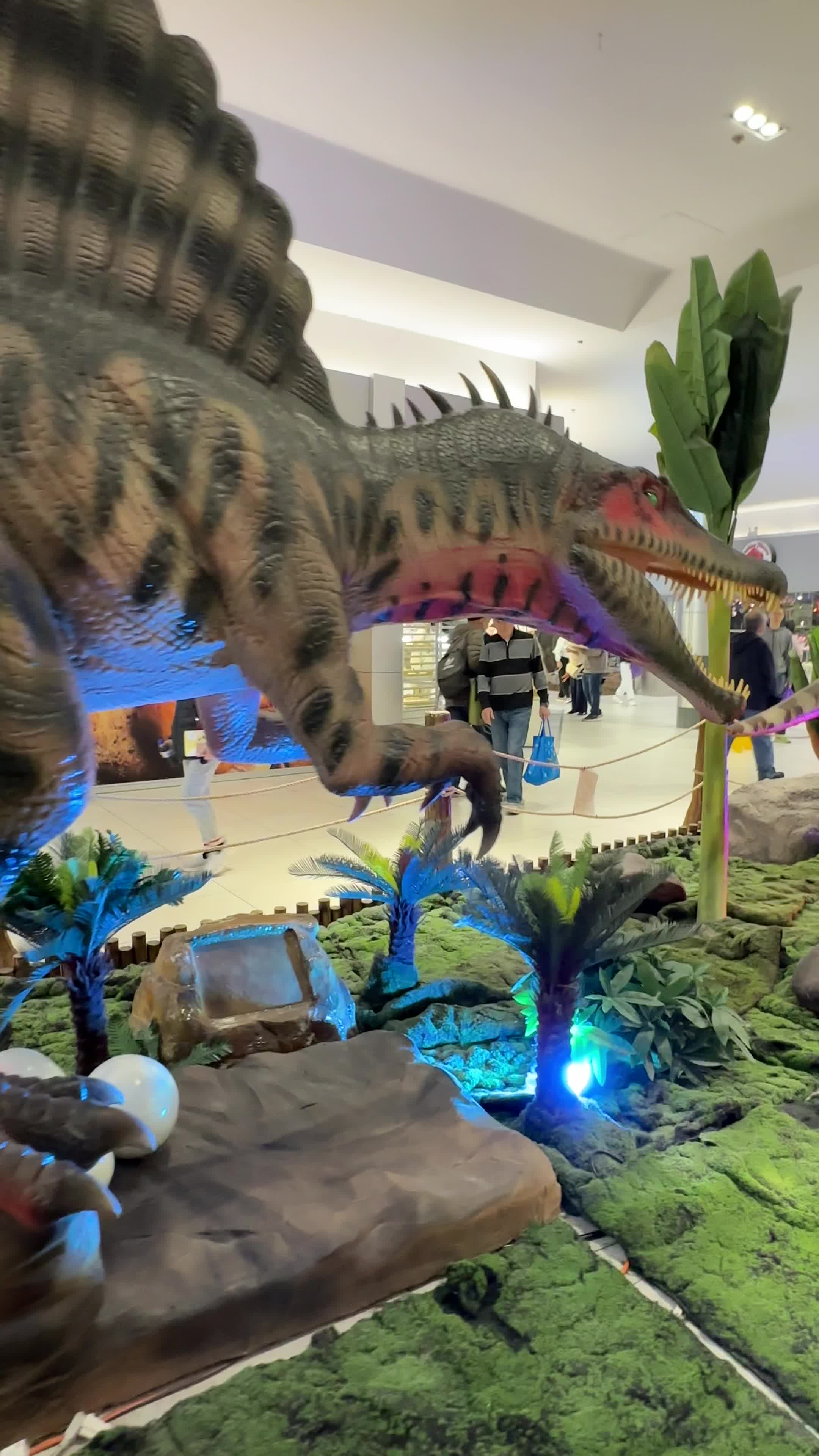 Video review of Woodside Square