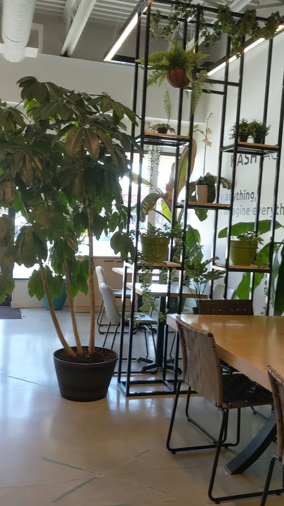 Cafe Hashtag