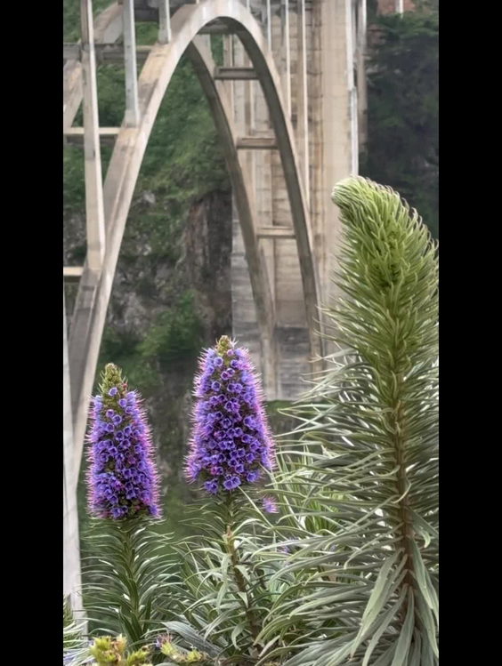 Bixby Bridge