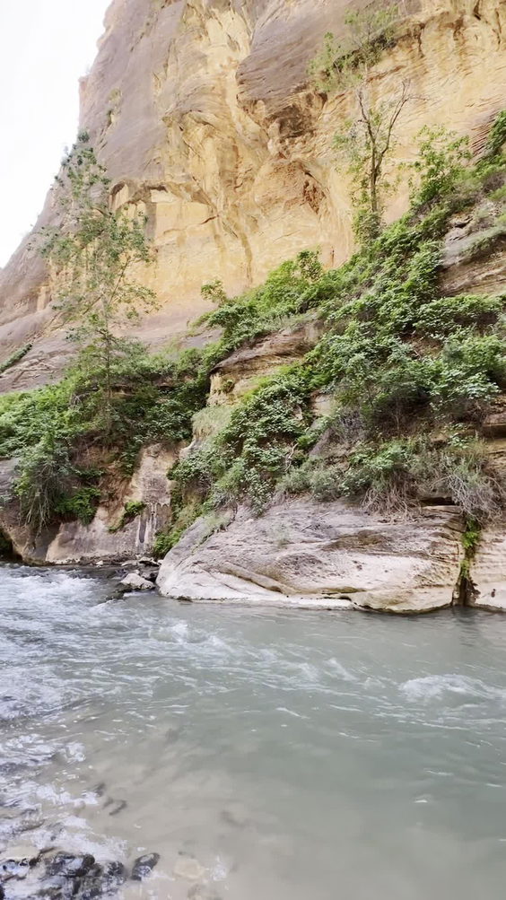 The Narrows