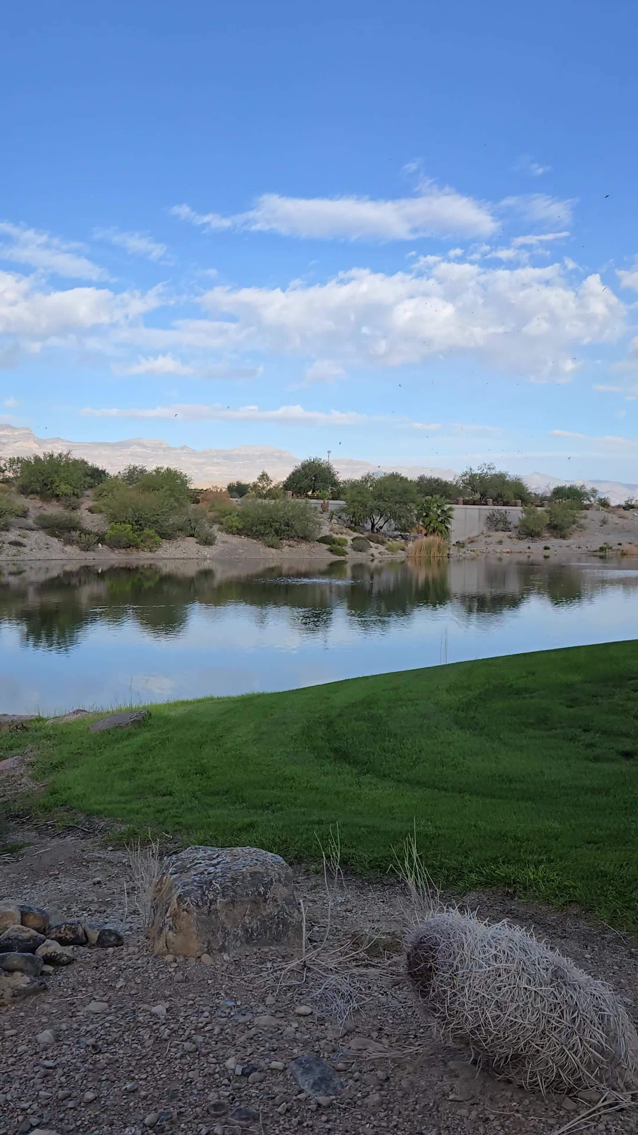 Coyote Springs Golf Club
