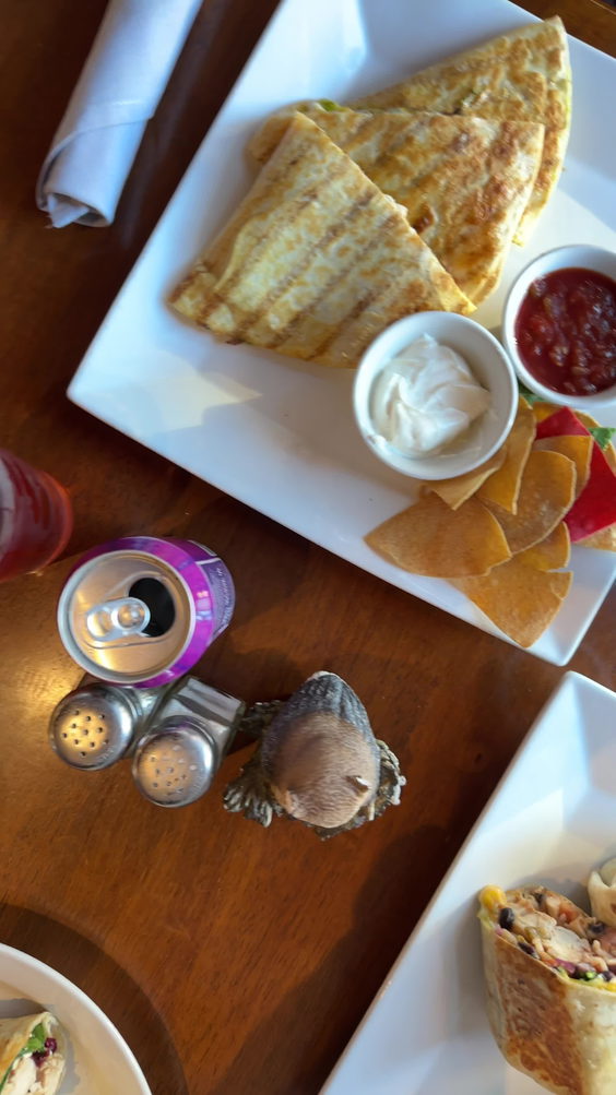 Wild Owl Cafe
