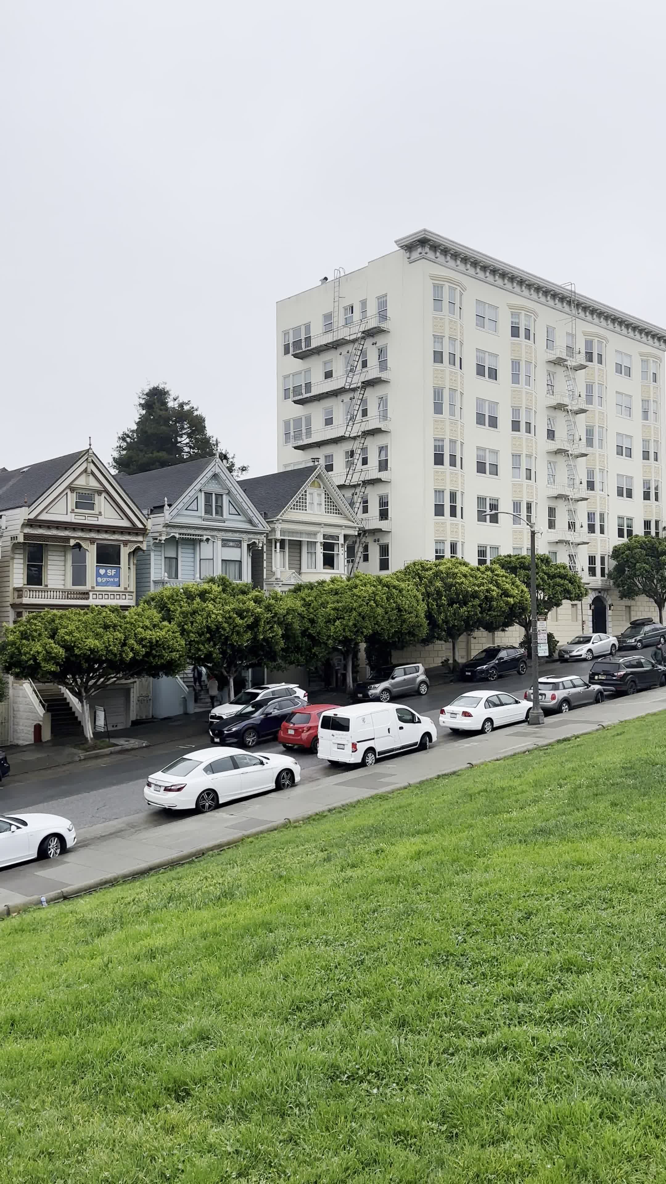 Video review of Painted Ladies