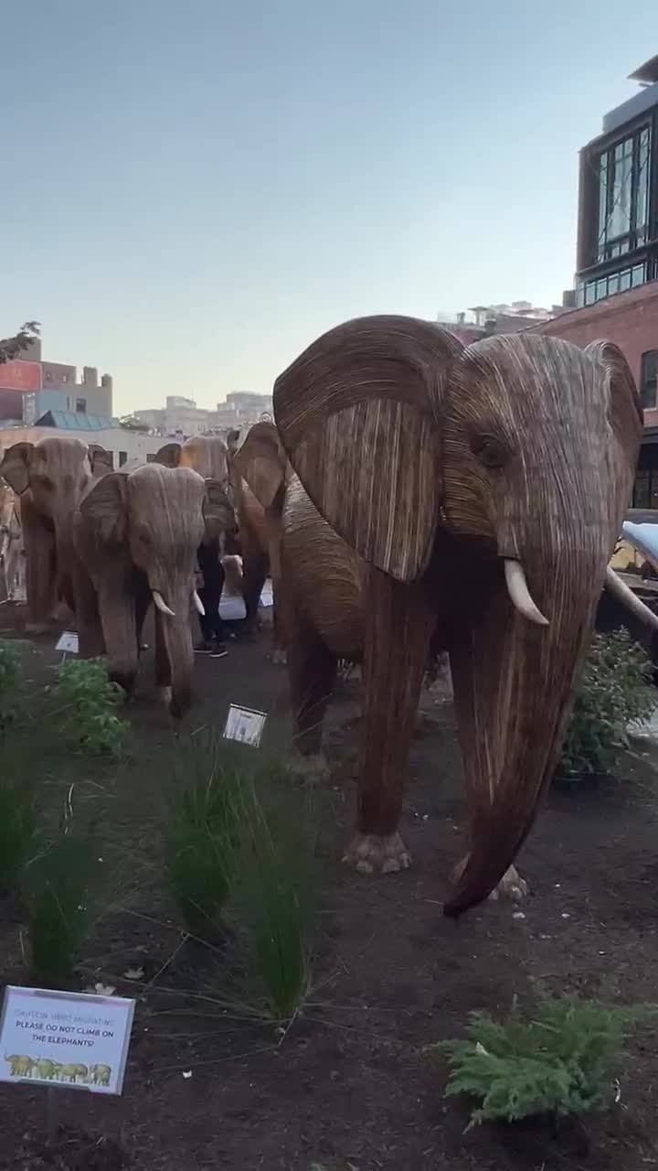 Gansevoort Peninsula