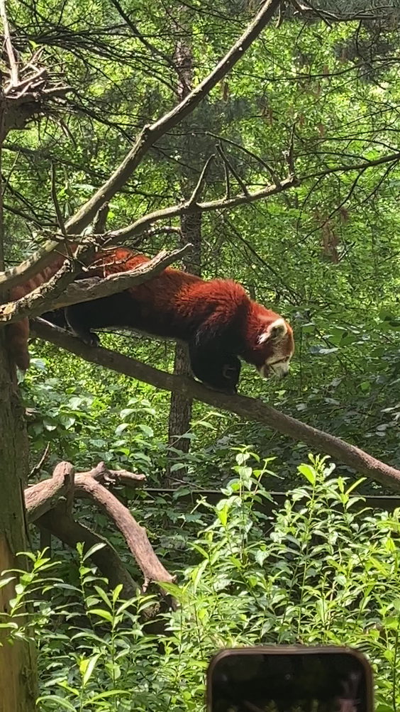 Central Park Zoo