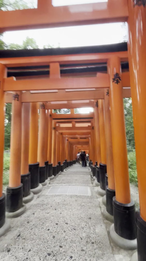 伏見稲荷大社 (Fushimi Inari Taisha)