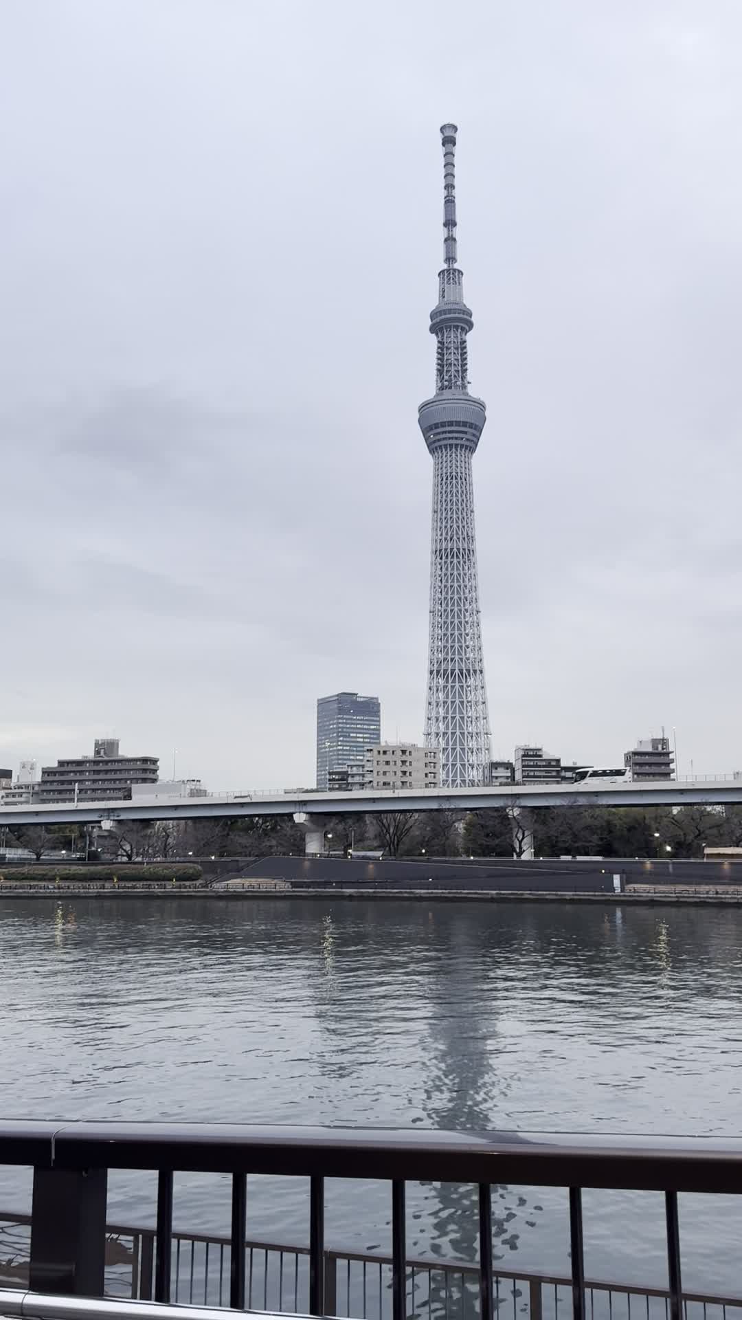 Sumida River 