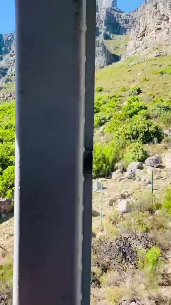 Table Mountain