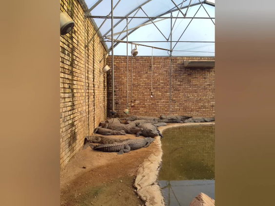 Johanesburg zoo