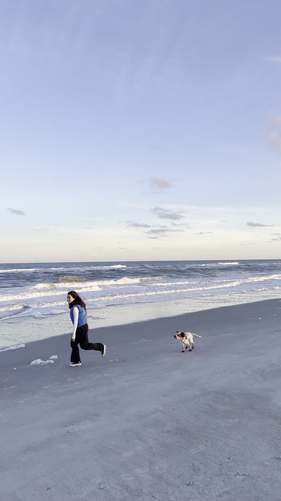 Ocean Hammock Beach Park And Walkway