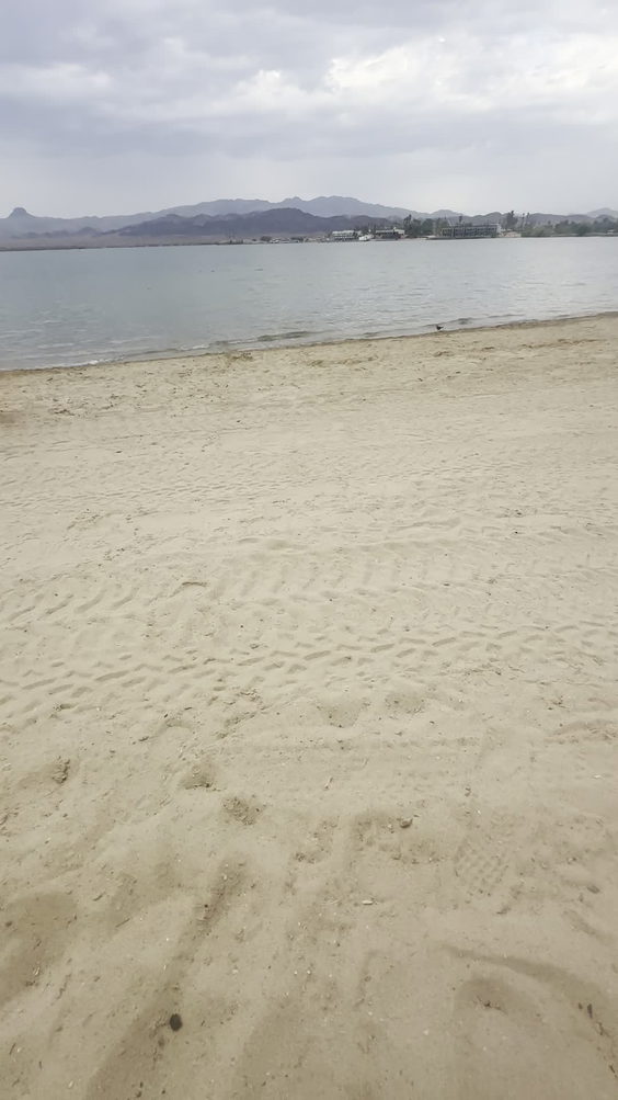 Lake Havasu Beach