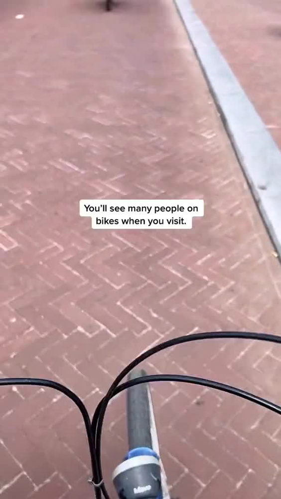 Mike's Bike Rentals