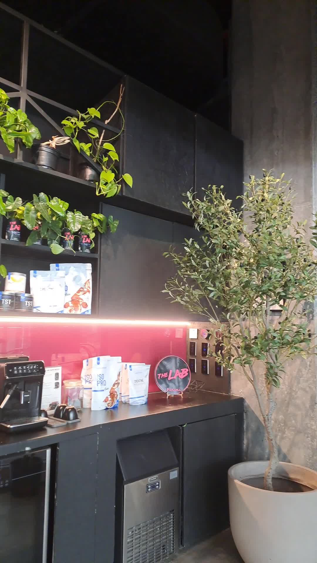 The Lab Prive Costa del Este