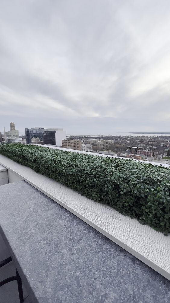 Patrick's Rooftop