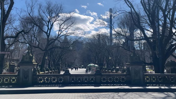 Central Park - The Arcade