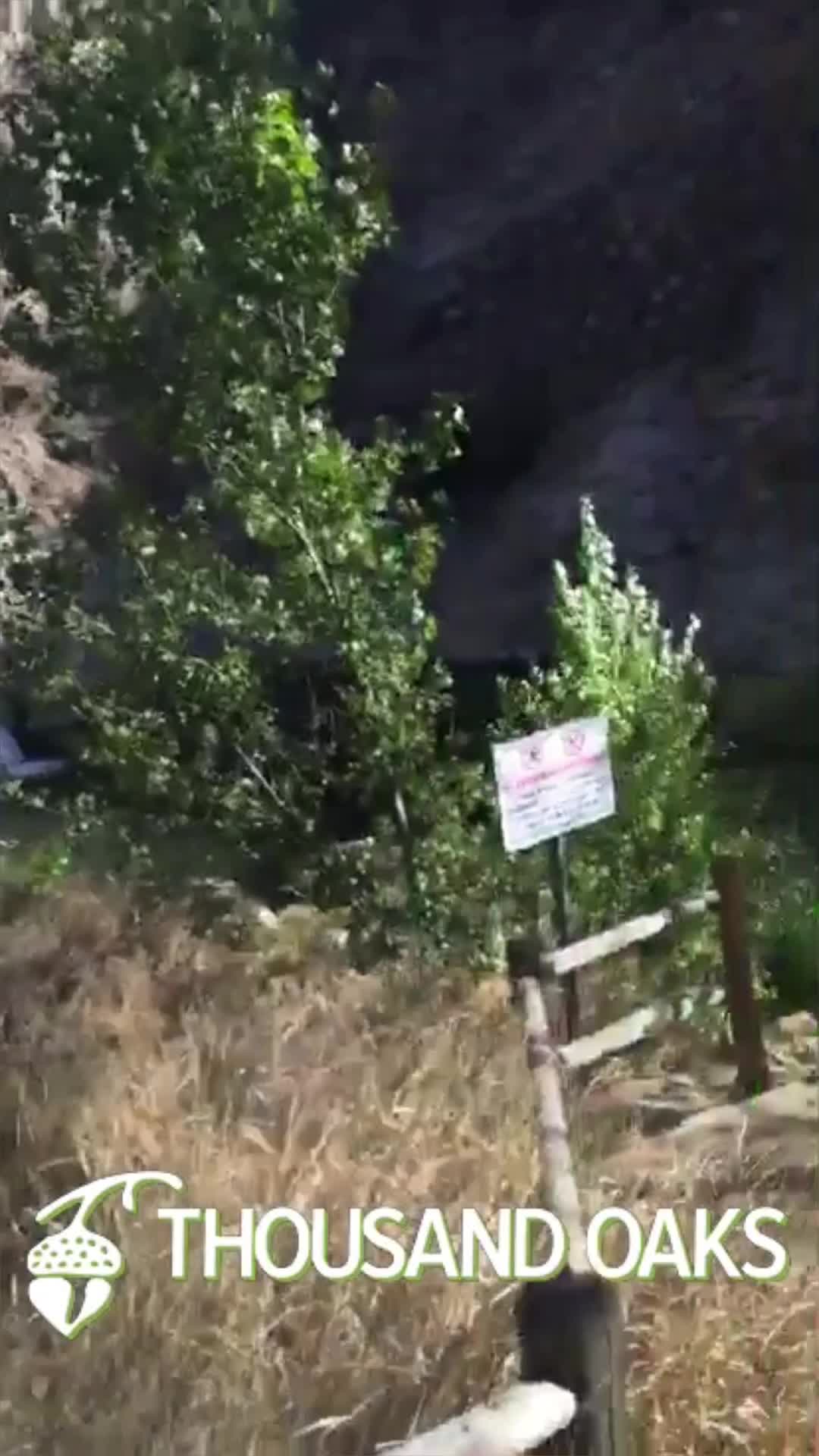 Video review of Wildwood Trails & Open Space