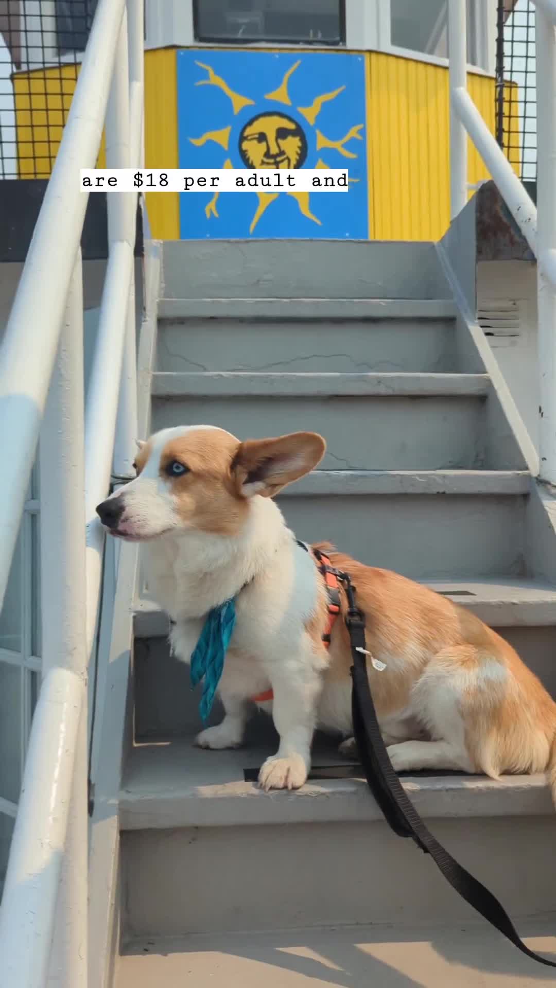 Fremont Sunday Ice Cream Cruise