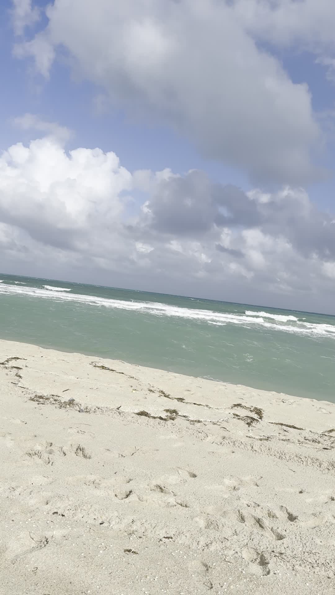 Haulover Beach