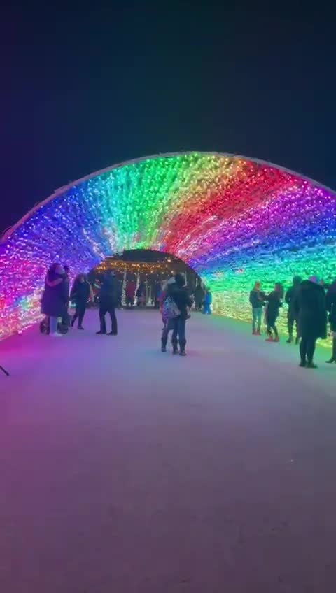 Nights of Lights - Christmas and Holiday Fair
