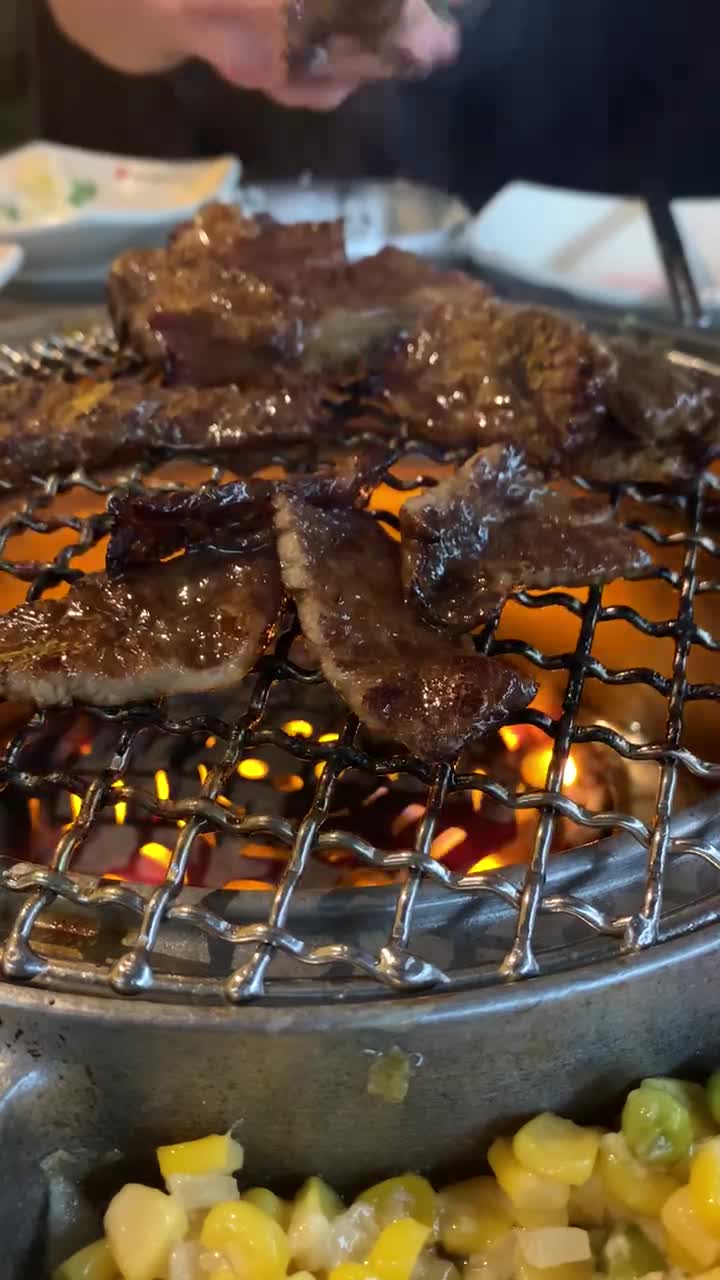 Video review of MA GAL B.B.Q