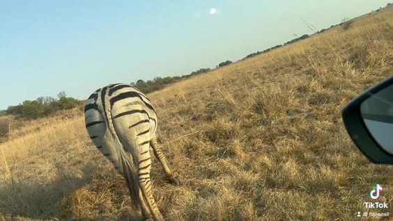 Rietvlei Nature Reserve