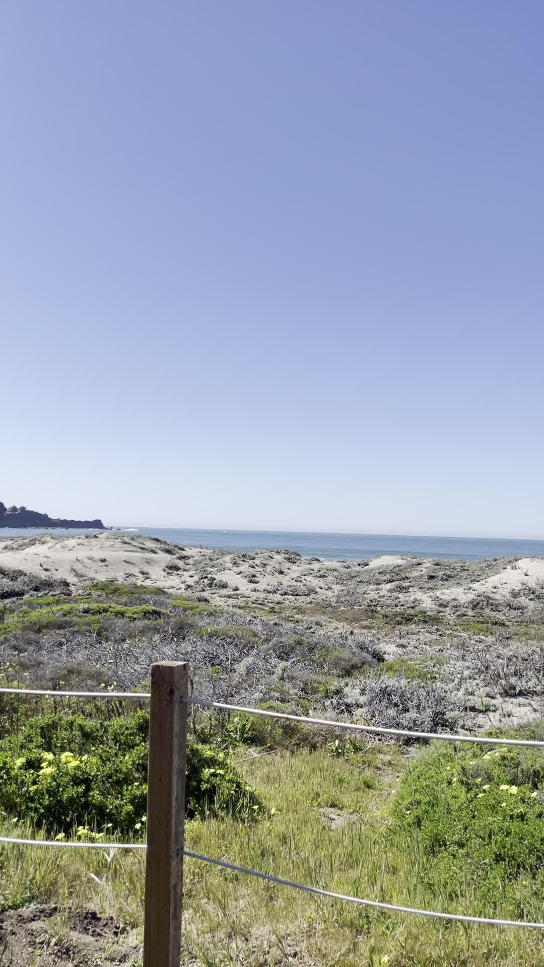 Video review of Pacifica Beach Resort
