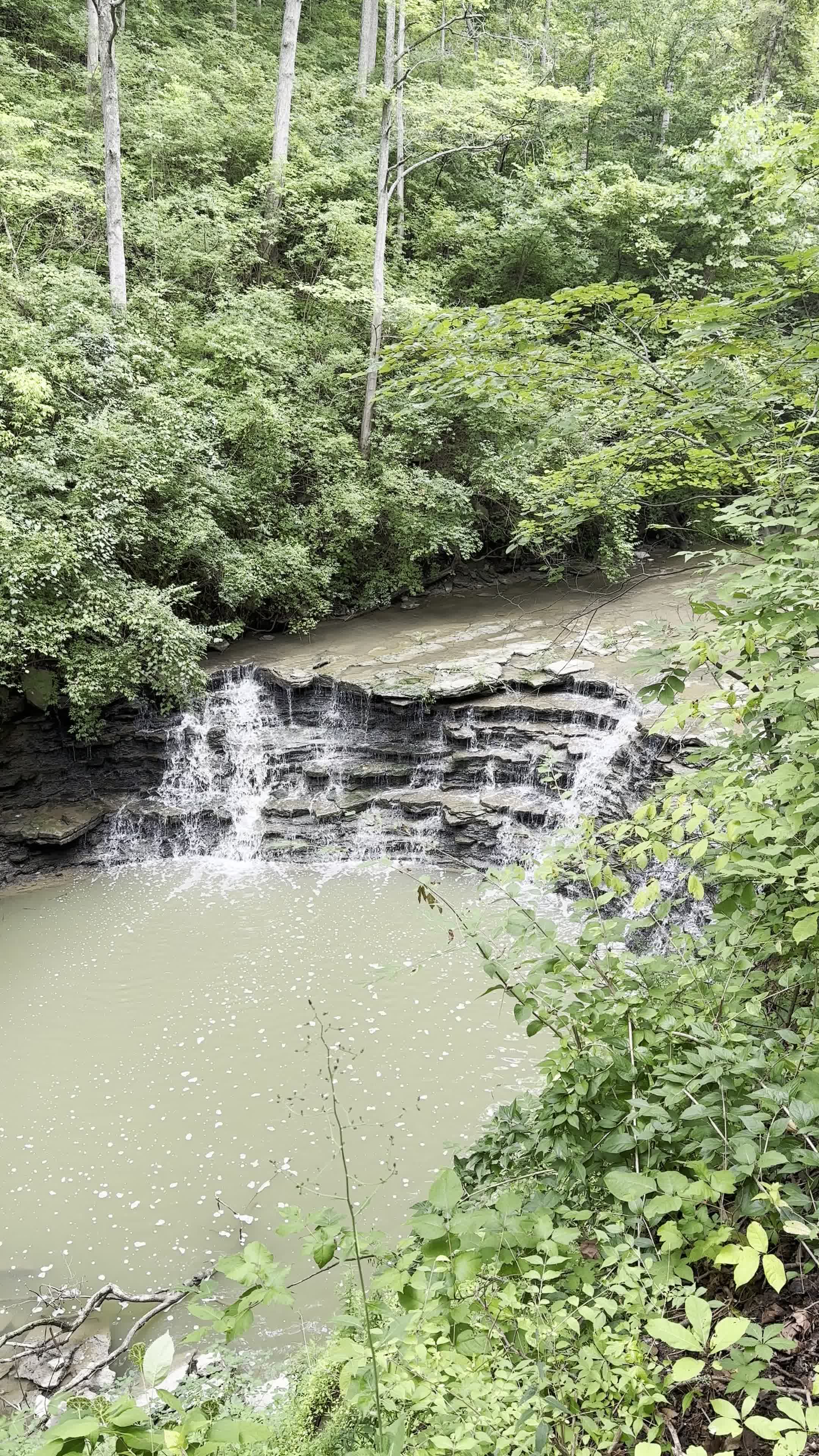 Harbor Trail at Sharon Woods