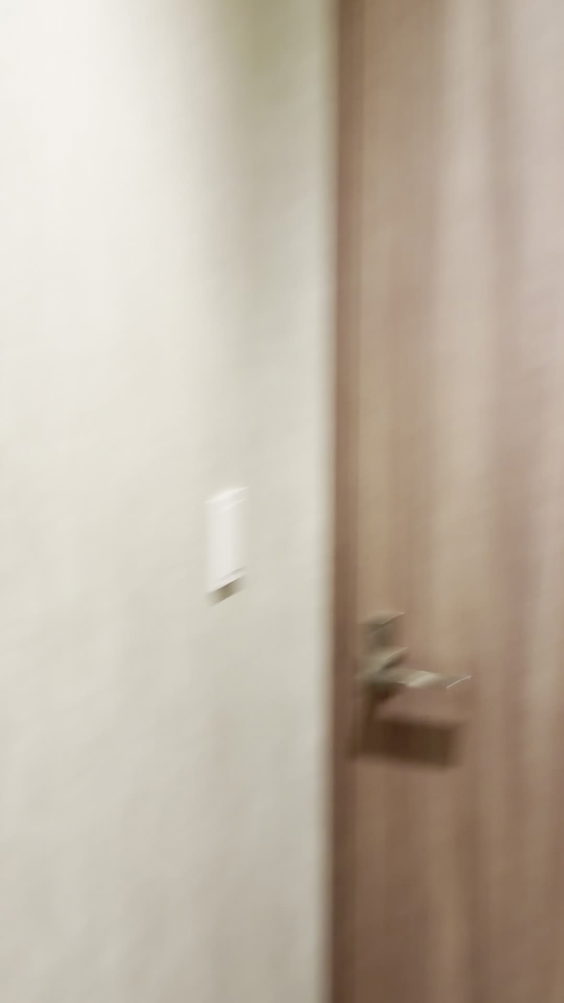 Asakusa Tobu Hotel