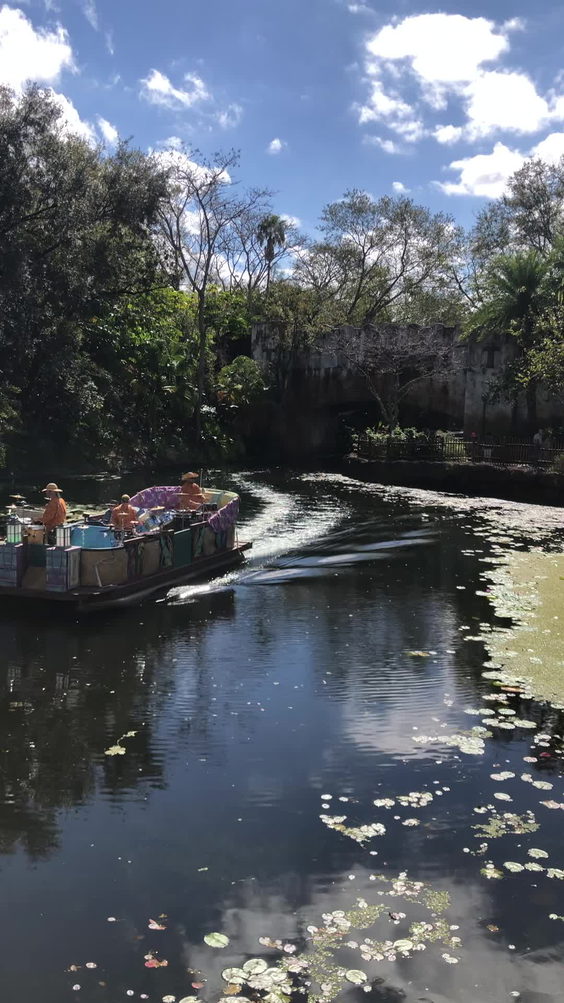 Disney's Animal Kingdom