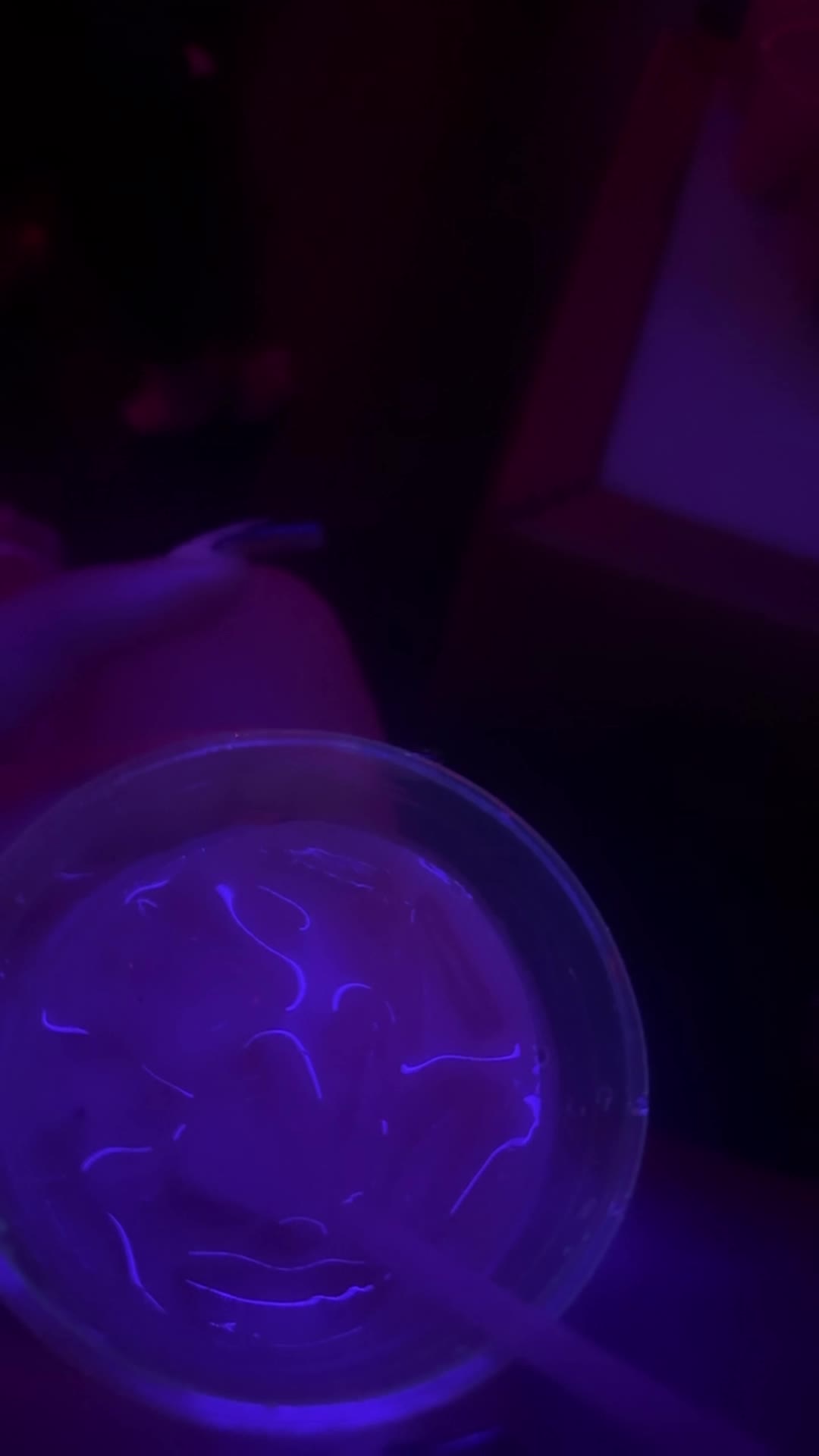 STORY Nightclub