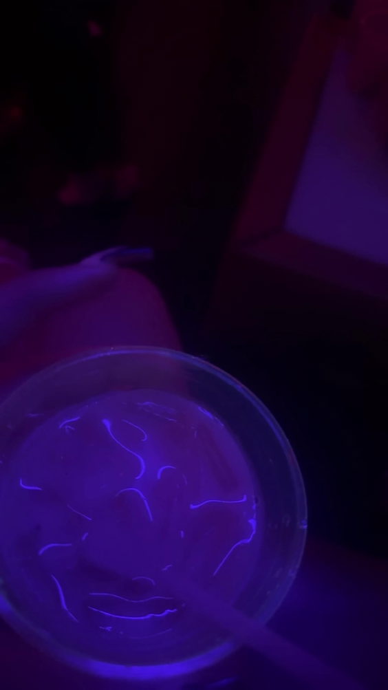 STORY Nightclub