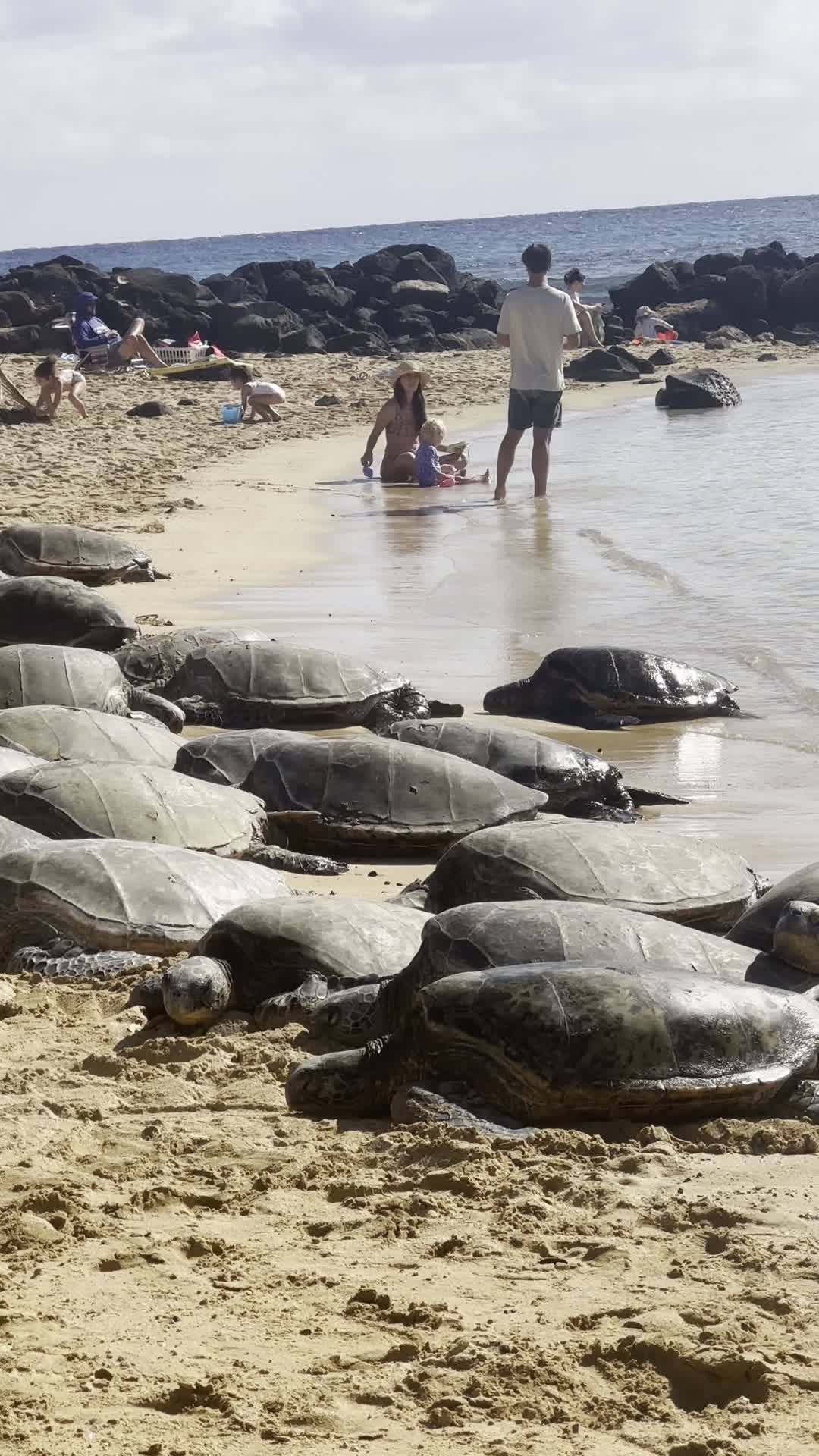 Poipu Beach Park