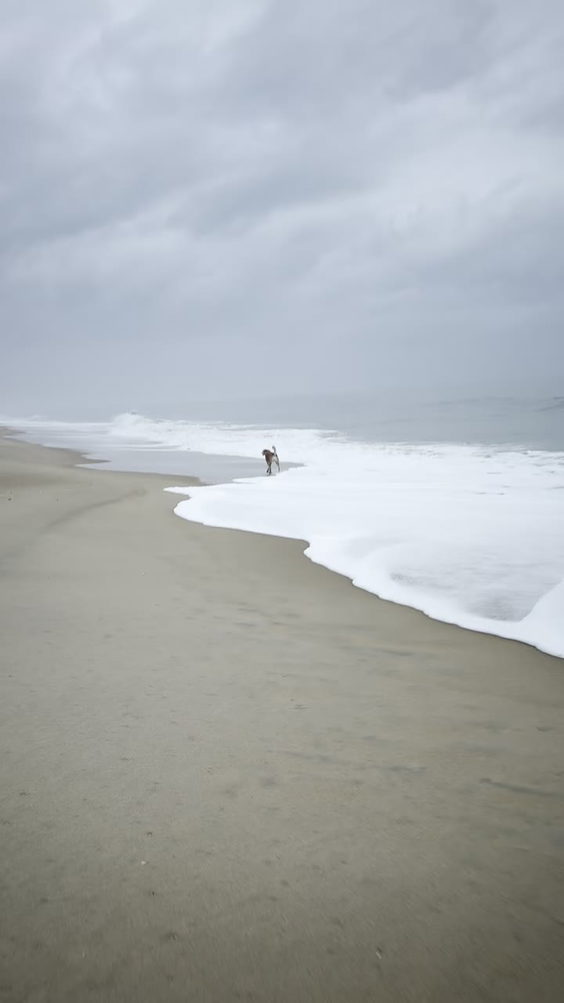 Middlesex Beach