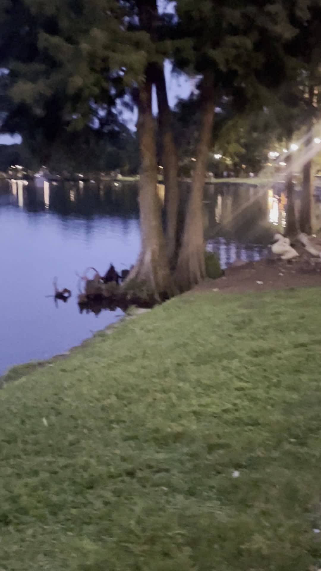 The Linton E. Allen Memorial Fountain At Lake Eola Park