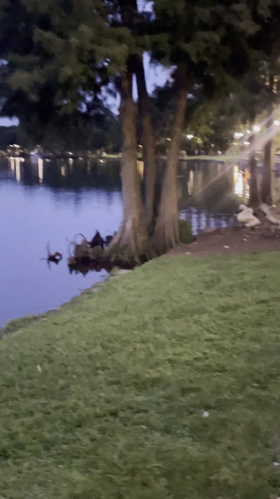 The Linton E. Allen Memorial Fountain At Lake Eola Park