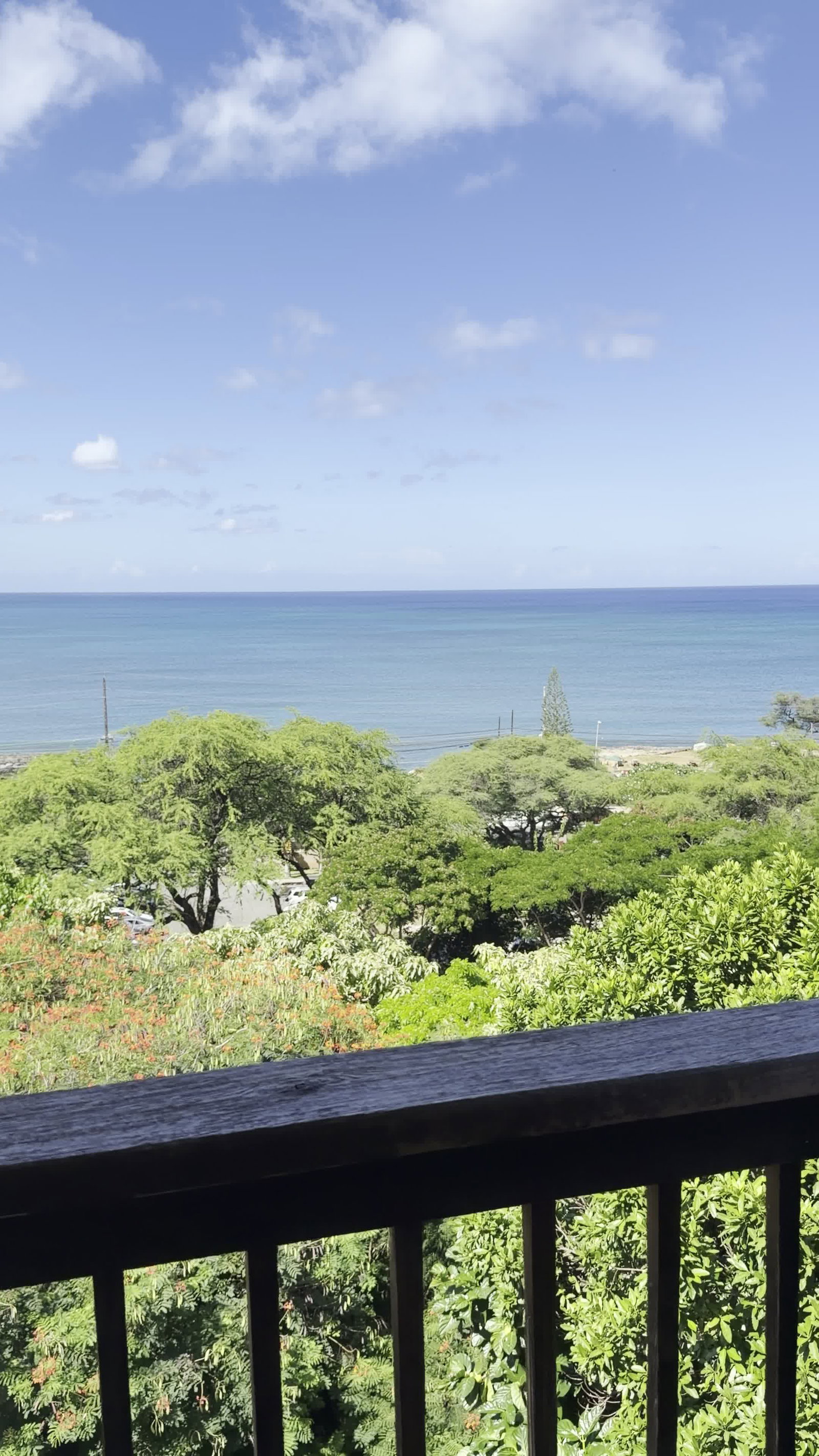 Video review of Ka'aha'aina Cafe