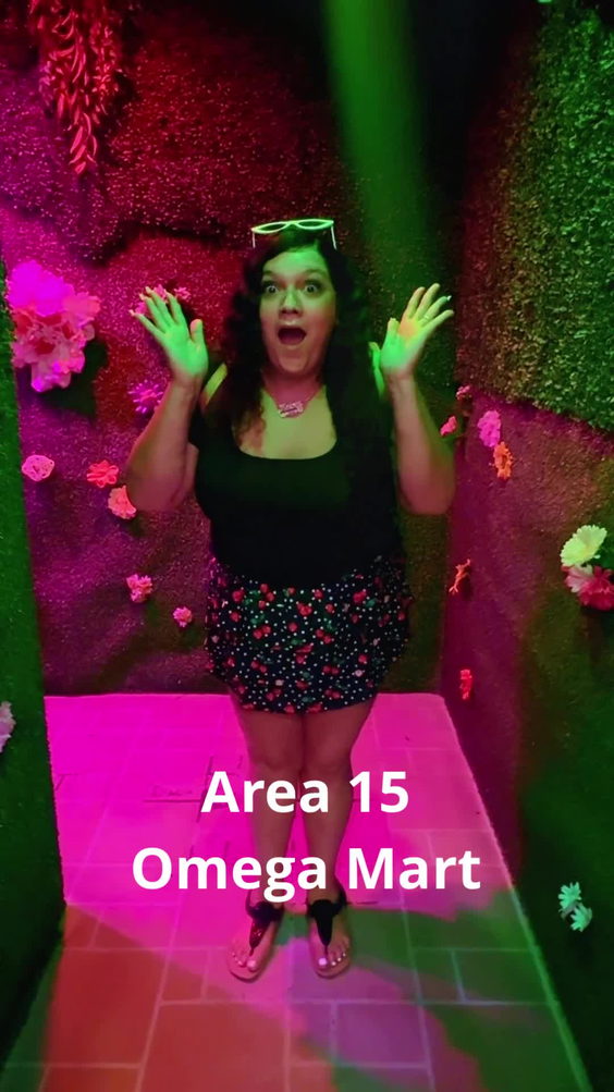 Meow Wolf Area 15