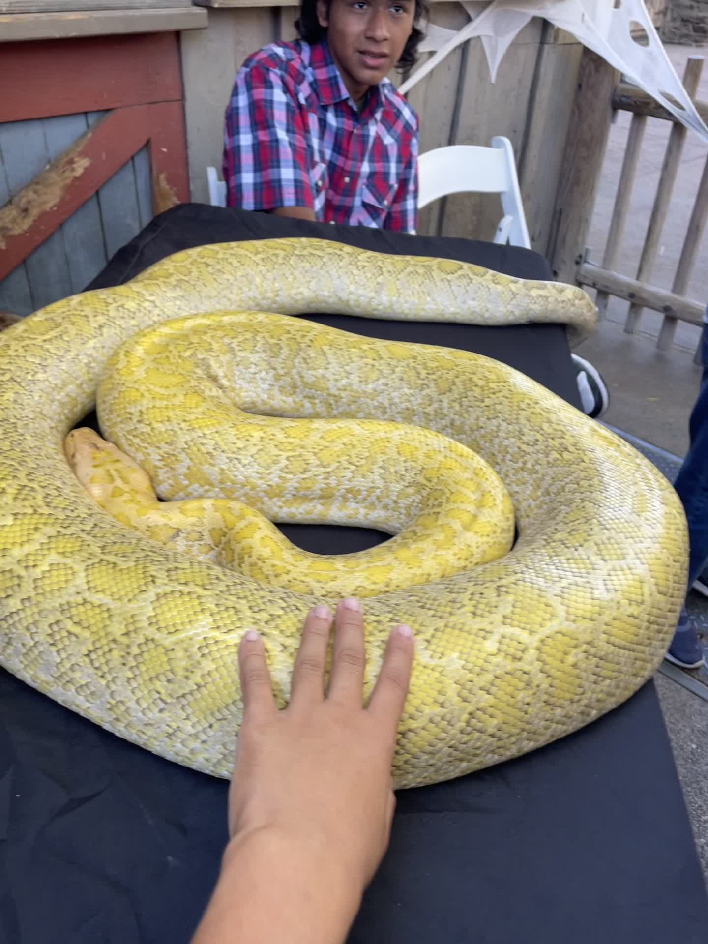 Video review of Fireman's Brigade BBQ