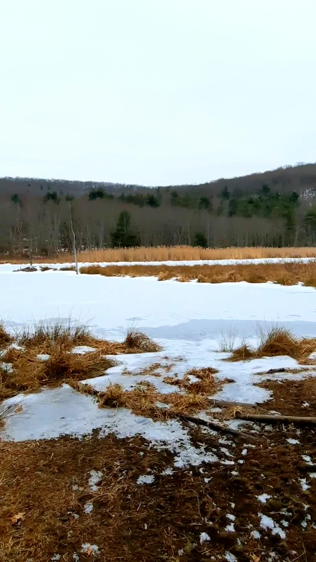 Nature Preserve