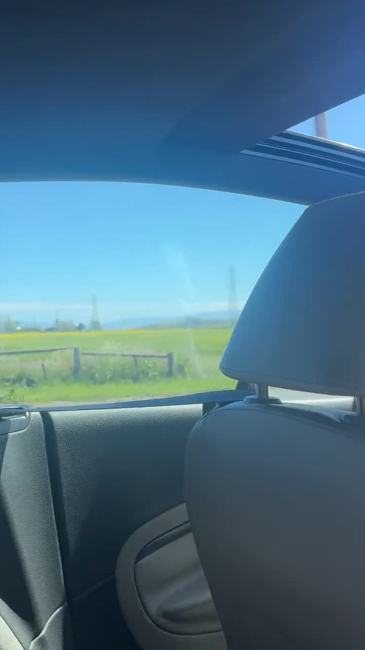 Coyote Hills Regional Park